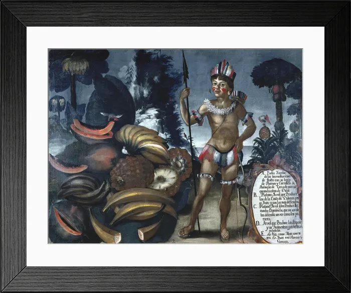 Framed Print : ALBAN, Vicente (18th c.). Yumbo Indian from the neighbourhood of Quito. 1783. Casta paintings. Quito School. Colonial baroque. Oil on canvas. SPAIN. Madrid. America's Museum