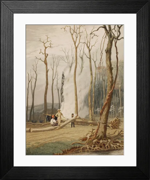 Framed Print : Men cutting and burning girdled tree to clear land on the American frontier in 1841 Framed Print : Men cutting and burning girdled tree to clear land on the American frontier in 1841