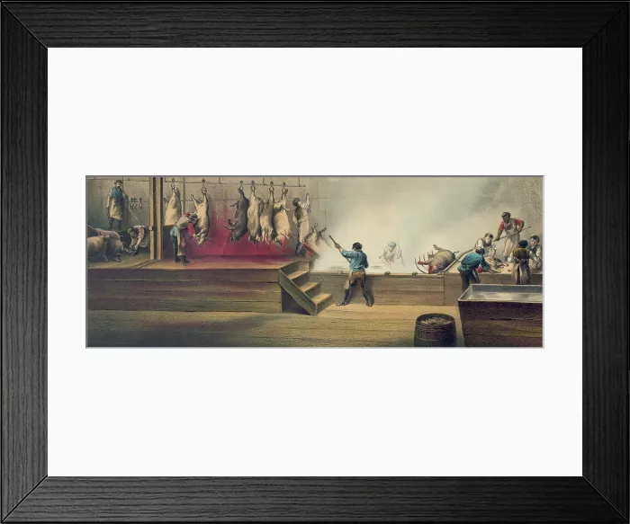 Framed Print : Pork packing house in Cincinnati, Ohio, 1873. Scene shows the killing of hogs (on left) and their immersion in boiling water to remove their bristles Framed Print : Pork packing house in Cincinnati, Ohio, 1873. Scene shows the killing of hogs (on left) and their immersion in boiling water to remove their bristles