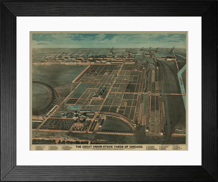 Framed Print : The Great Union Stock Yards of Chicago incorporated space for over 200, 000 live animals, to be processed through slaughter houses, meat processing, and for derivative products Framed Print : The Great Union Stock Yards of Chicago incorporated space for over 200, 000 live animals, to be processed through slaughter houses, meat processing, and for derivative products