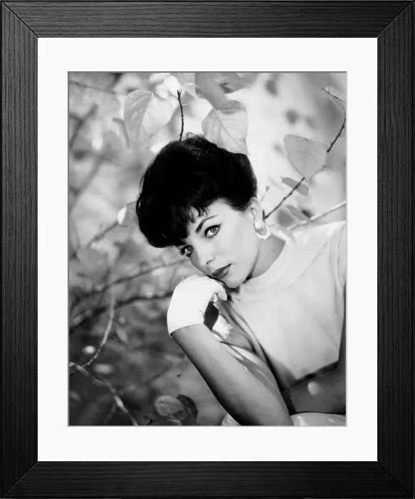 Framed Print : RALLY ROUND THE FLAG, BOYS!, Joan Collins, 1958, 20th Century Fox, TM & Copyright, courtesy Everett Collection Framed Print : RALLY ROUND THE FLAG, BOYS!, Joan Collins, 1958, 20th Century Fox, TM & Copyright, courtesy Everett Collection
