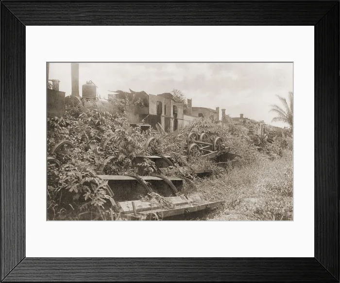 Framed Print : Old French machinery, used in Panama Canal construction, abandoned in Panama jungle. The French began construction of a canal through Panama in 1881, but stopped work in 1889 Framed Print : Old French machinery, used in Panama Canal construction, abandoned in Panama jungle. The French began construction of a canal through Panama in 1881, but stopped work in 1889