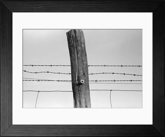 Framed Print : Electrified barbed wire fence. As the New Deal's Rural electrification program connected farmers, they powered up their fences Framed Print : Electrified barbed wire fence. As the New Deal's Rural electrification program connected farmers, they powered up their fences
