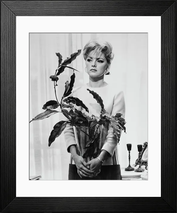 Framed Print : ANYONE CAN PLAY, (aka LE DOLCI SIGNORE), Virna Lisi, 1968