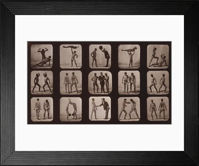 Framed Print : Consecutive images of men doing acrobatics, gesturing, and posturing. From Eadweard Muybridge's, THE ATTITUDES OF ANIMALS IN MOTION, 1881