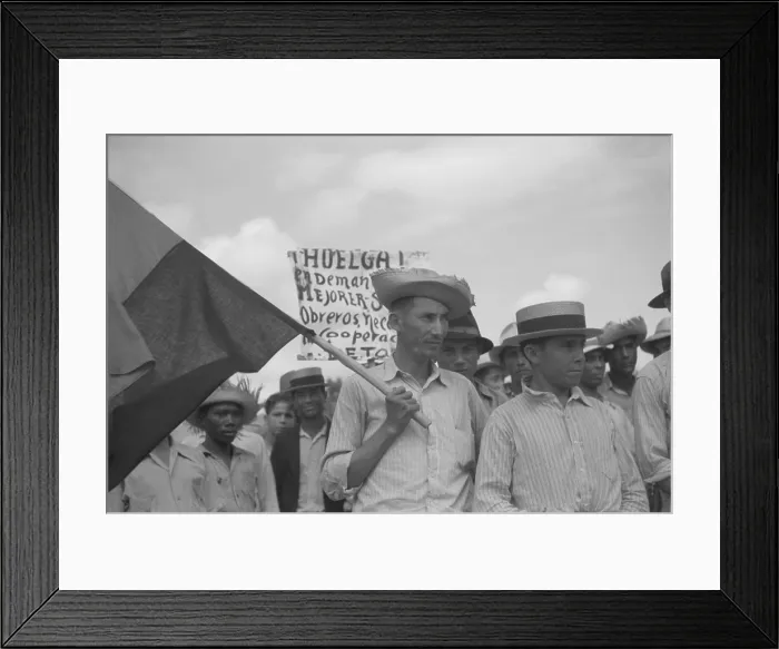 Framed Print : Puerto Rican strikers picketing near the sugar mill where they worked. Yabucoa Municipality, Jan. 1942. - (BSLOC_2015_1_169)