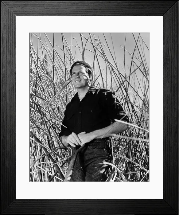 Framed Print : REACHING FOR THE SUN, Joel McCrea, 1941 Framed Print : REACHING FOR THE SUN, Joel McCrea, 1941