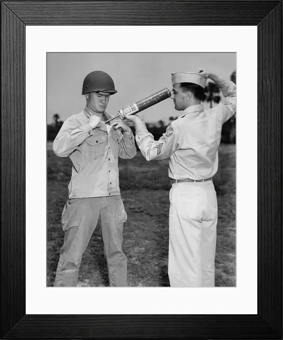 Framed Print : A U.S. soldier applying the insecticide DDT to kill mosquitoes that spreads malaria and lice that carry typhus. Ca. 1945 Framed Print : A U.S. soldier applying the insecticide DDT to kill mosquitoes that spreads malaria and lice that carry typhus. Ca. 1945
