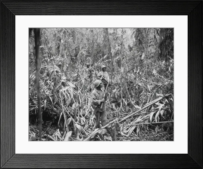 Framed Print : African American soldiers on patrol in Japanese territory on the Numa-Numa Trail, Bougainville