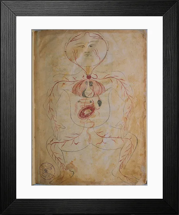 Framed Print : A pregnant woman, from MANSUR'S ANATOMY, authored by the Persian scholar and physician, Mansur ibn Ilyas (ca. 1370-1423) Framed Print : A pregnant woman, from MANSUR'S ANATOMY, authored by the Persian scholar and physician, Mansur ibn Ilyas (ca. 1370-1423)