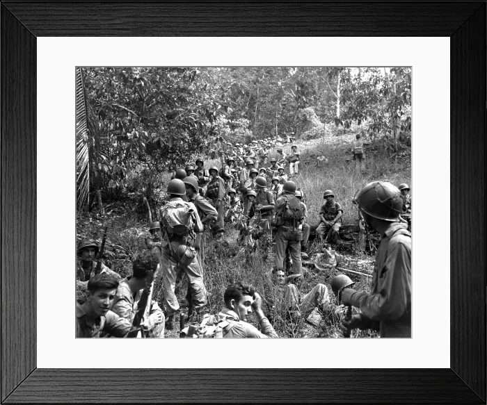 Framed Print : U.S. Marines move toward the jungle front on Guadalcanal. Japanese troops occupied in the island highlands and launched nighttime attacks on the U.S. air fields. Ca. Jan Framed Print : U.S. Marines move toward the jungle front on Guadalcanal. Japanese troops occupied in the island highlands and launched nighttime attacks on the U.S. air fields. Ca. Jan