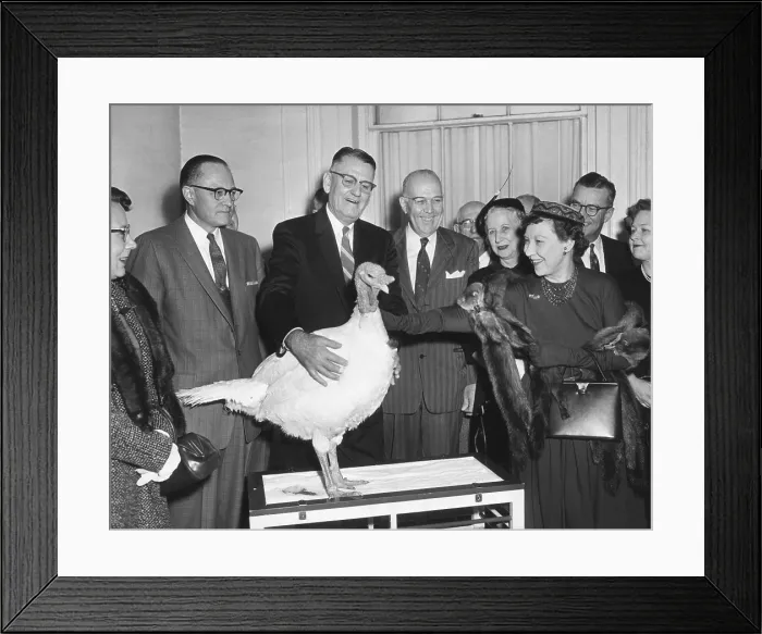 Framed Print : First Lady Mamie Eisenhower receiving a live Thanksgiving Turkey. Nov, 14, 1957. - (BSLOC_2014_16_96)