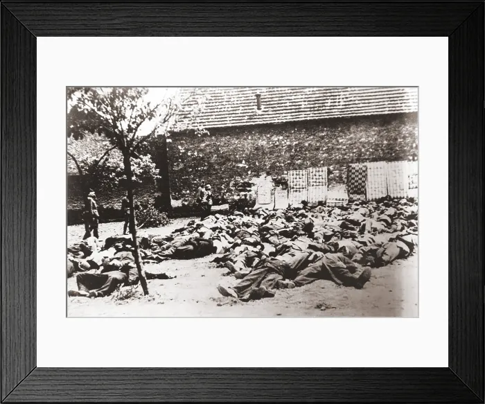 Framed Print : German soldiers standing by corpses after mass execution of all the men in Lidice, Czechoslovakia, June 1942 Framed Print : German soldiers standing by corpses after mass execution of all the men in Lidice, Czechoslovakia, June 1942