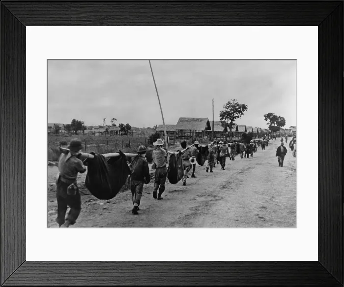 Framed Print : Near end of the Bataan Death March, US prisoners of war carry dead comrades in improvised stretchers of bamboo poles and blankets Framed Print : Near end of the Bataan Death March, US prisoners of war carry dead comrades in improvised stretchers of bamboo poles and blankets