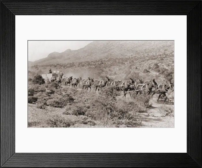 Framed Print : Hauling ore by wagons with a fourteen mule team from Potosi mine, Nevada Framed Print : Hauling ore by wagons with a fourteen mule team from Potosi mine, Nevada