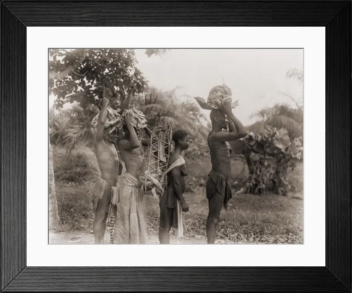 Framed Print : African men and woman arriving at the monthly wild rubber village market, carrying raw rubber in the then French colony of Moyen Congo (present Congo) in 1943 Framed Print : African men and woman arriving at the monthly wild rubber village market, carrying raw rubber in the then French colony of Moyen Congo (present Congo) in 1943