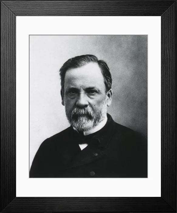 Framed Print : Louis Pasteur (1822-1895), French chemist and microbiologist who was the most important founder of medical microbiology. Ca. 1890 Framed Print : Louis Pasteur (1822-1895), French chemist and microbiologist who was the most important founder of medical microbiology. Ca. 1890