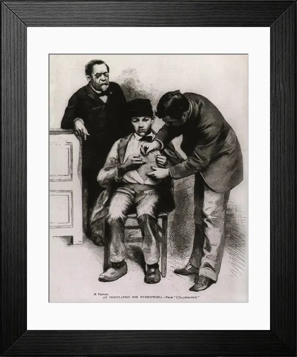 Framed Print : Rabies (hydrophobia) vaccination administered to teenage Jean-Baptiste Jupille at the Pasteur laboratory, in October 1885