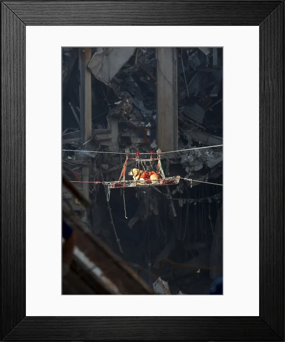 Framed Print : A rescue dog is transported out of the debris of the World Trade Center, Sept. 15, 2001. New York City, after September 11, 2001 terrorist attacks. U.S Framed Print : A rescue dog is transported out of the debris of the World Trade Center, Sept. 15, 2001. New York City, after September 11, 2001 terrorist attacks. U.S