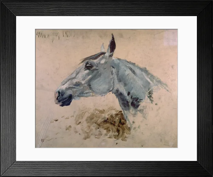 Framed Print : White Gazelle Horse (Cheval blanc gazelle), by Henri de Toulouse-Lautrec, 1922, 20th Century, oil on canvas, 48 x 59 cm - France, Albi, Toulouse-Lautrec Museum