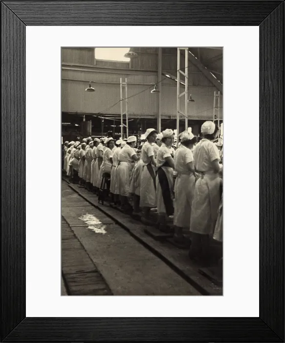 Framed Print : Women working in a grapefruit canning factory at Winter Haven, Florida