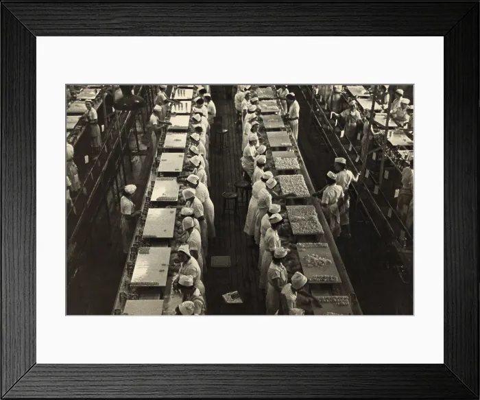 Framed Print : Women working in a grapefruit canning factory at Winter Haven, Florida