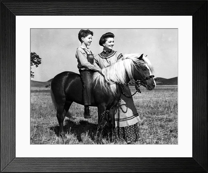 Framed Print : THE RED PONY, Peter Miles, Myrna Loy, 1949