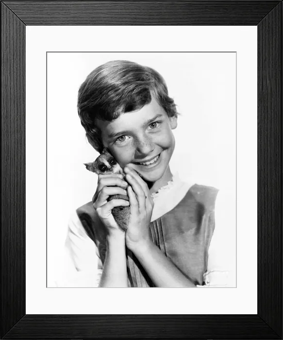 Framed Print : THE LION, Pamela Franklin, 1962, TM & Copyright 20th Century Fox Film Corp. / courtesy Everett Collection