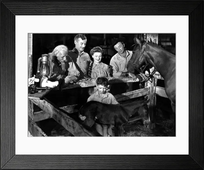 Framed Print : THE RED PONY, Louis Calhern, Shepperd Strudwick, Myrna Loy, Peter Miles, Robert Mitchum, 1949 Framed Print : THE RED PONY, Louis Calhern, Shepperd Strudwick, Myrna Loy, Peter Miles, Robert Mitchum, 1949