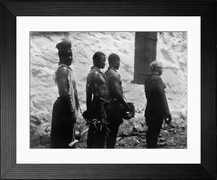 Framed Print : Chain gang of convicts in Monrovia Liberia. Ca. 1895