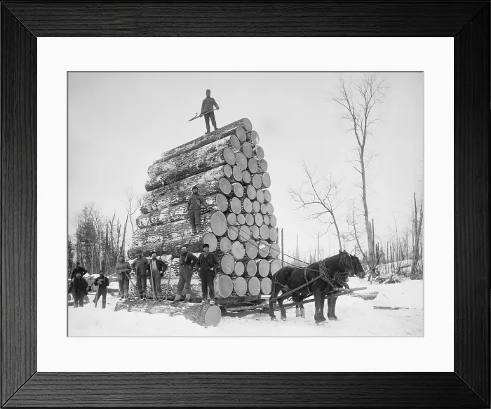 Framed Print : Big load of logs on a horse drawn sled in Michigan, ca. 1899