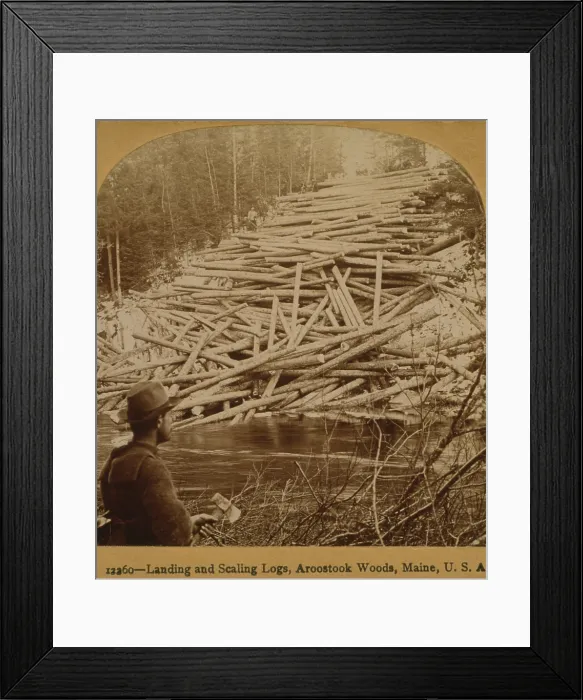 Framed Print : Felled logs ready to enter the Aroostook River. A lumberjack in the foreground holds axe. Aroostook Woods, Maine, 1903 Framed Print : Felled logs ready to enter the Aroostook River. A lumberjack in the foreground holds axe. Aroostook Woods, Maine, 1903