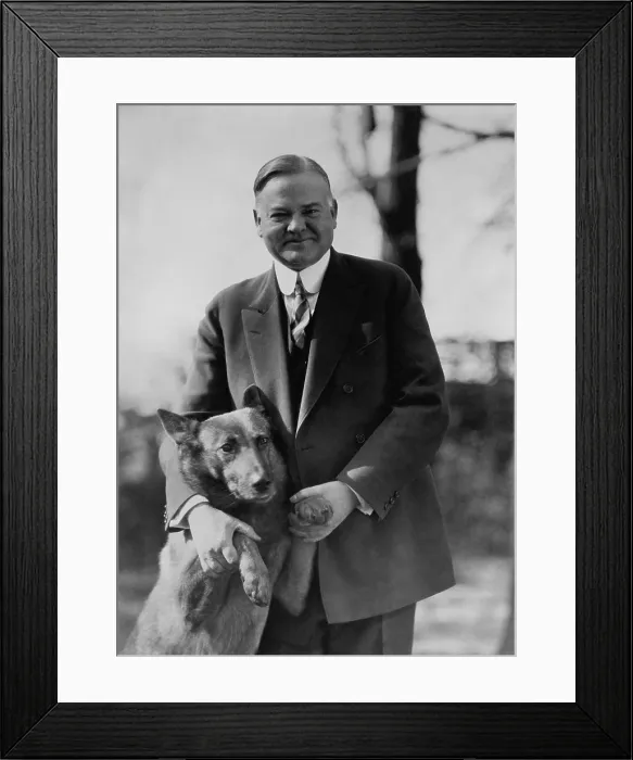 Framed Print : President Herbert Hoover with his Belgian shepherd, King Tut, in 1928