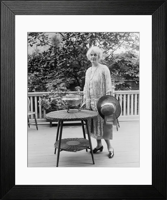 Framed Print : Lou Henry Hoover, future First Lady, on her porch in 1926. (BSLOC_2015_16_58)