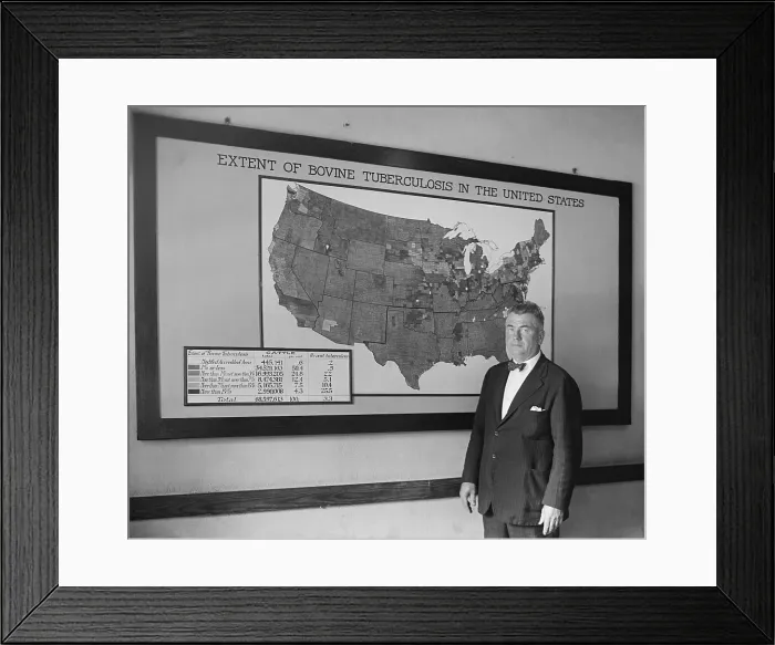 Framed Print : Dr. J. A. Kierman headed Tuberculosis Eradication in the U.S. Dept. of Agriculture. Sept. 17, 1924
