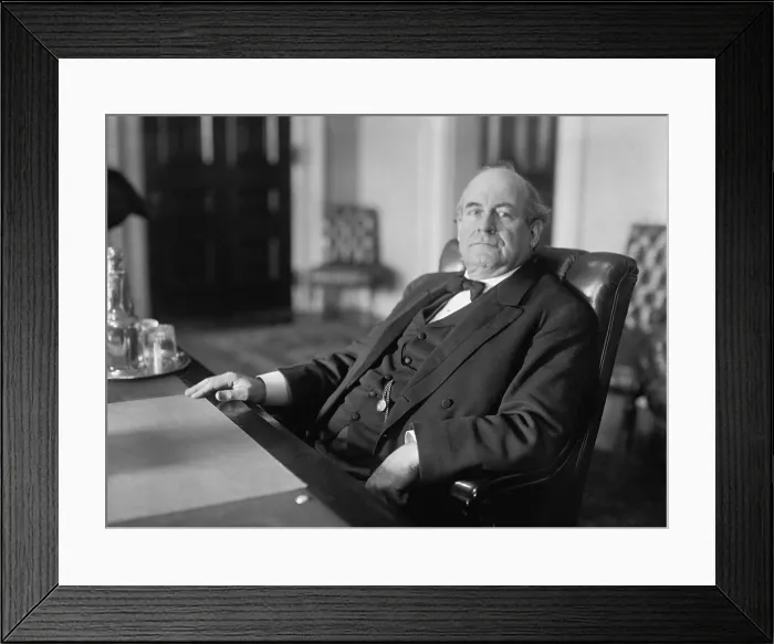 Framed Print : William Jennings Bryan as Secretary of State in the Woodrow Wilson Administration, 1913-1915. (BSLOC_2015_16_105) Framed Print : William Jennings Bryan as Secretary of State in the Woodrow Wilson Administration, 1913-1915. (BSLOC_2015_16_105)