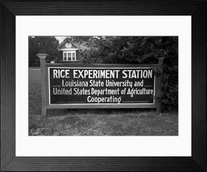 Framed Print : Sign of an experimentation station in Louisiana reads University of Louisiana and the Department of Agriculture Framed Print : Sign of an experimentation station in Louisiana reads University of Louisiana and the Department of Agriculture