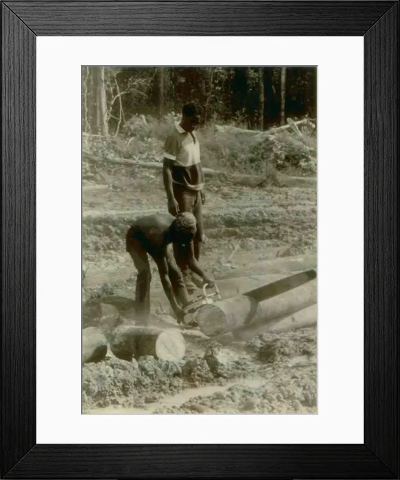 Framed Print : Clearing Rain Forest to create fields in Jonestown. People's Temple Agricultural Project. Jonestown, Guyana. Nov. 1978 Framed Print : Clearing Rain Forest to create fields in Jonestown. People's Temple Agricultural Project. Jonestown, Guyana. Nov. 1978
