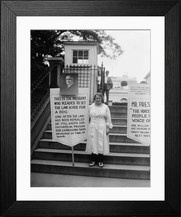 Framed Print : Protest for amnesty for victims of Espionage Act of 1917 and Sedition Act of 1918 Framed Print : Protest for amnesty for victims of Espionage Act of 1917 and Sedition Act of 1918