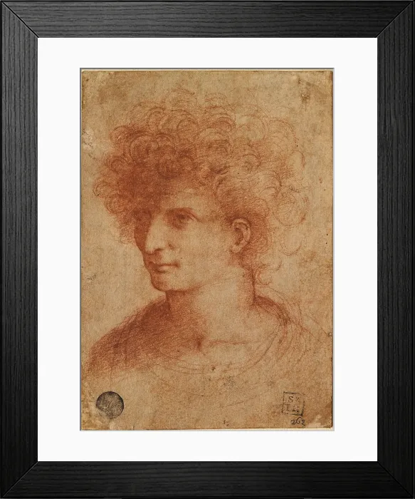Framed Print : Bust of young, by circle of Leonardo da Vinci, 16th Century, sanguine, cm 14, 1 x 10, 3 - Italy, Veneto, Venice, Accademia Art Galleries, inv. 262 Framed Print : Bust of young, by circle of Leonardo da Vinci, 16th Century, sanguine, cm 14, 1 x 10, 3 - Italy, Veneto, Venice, Accademia Art Galleries, inv. 262
