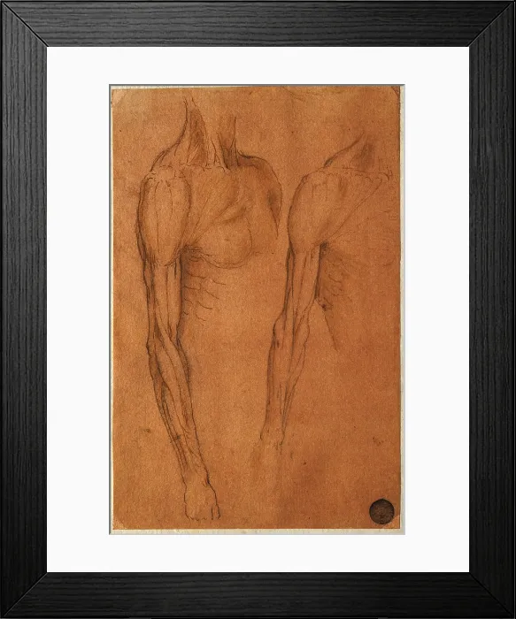 Framed Print : Anatomical drawing, by copy from Leonardo da Vinci, 16th Century, 1550 -1599 about, pen and brown ink, watercolor, traces of charcoal, cm 20, 5 x 13, 2 - Italy, Veneto, Venice