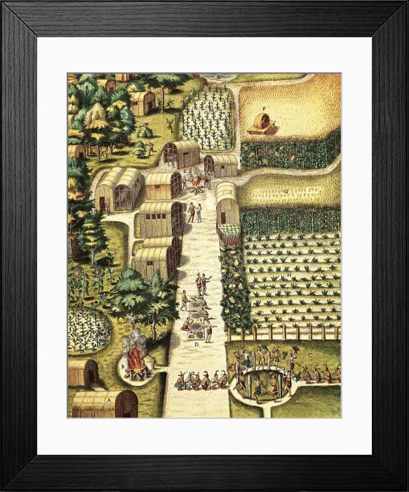 Framed Print : BRY, Theodor de (1528-1598); WHITE, John (16th-1593). Indian Village Secota or Secoton and her garden