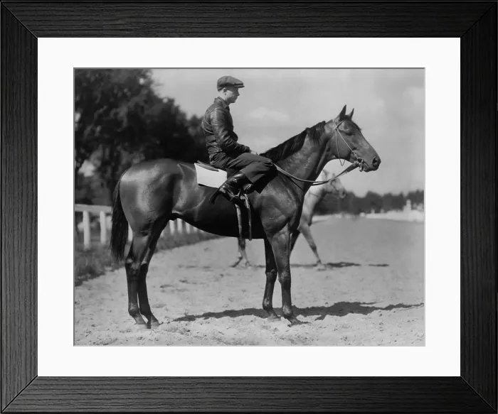 Framed Print : Charles S. Howard's favorite picture of Seabiscuit, taken at Saratoga with Red Pollard up. Photo by Bert Clark Thayer, March 30, 1938. (BSLOC_2013_9_35)