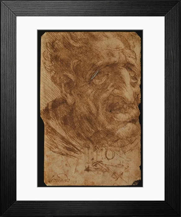 Framed Print : Head of an Old Man and Sketches of a Mechanical Device, by Leonardo da Vinci, 15th Century, 1490 -1499 about, pen and fine brush with sepia color ink, watercolor