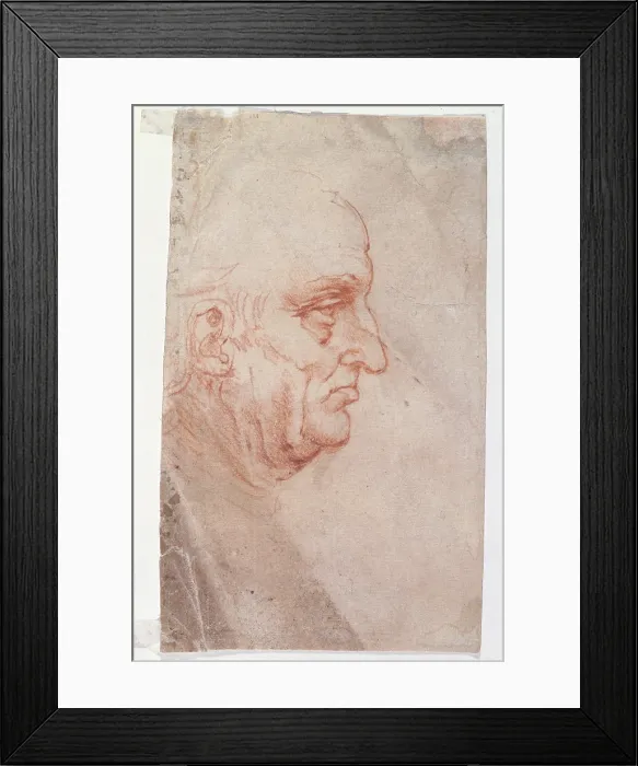 Framed Print : Man profile, by Leonardo da Vinci, 16th Century, 1510 -1511 about, - Private Collection. (621850) Everett CollectionMondadori Portfolio**US SALES ONLY**