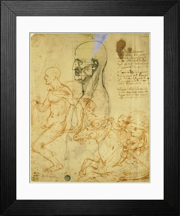 Framed Print : Studies of Proportions and for the Battle of Anghiari (Male torso in profile with scheme of proportions, study of horse and riders), by Leonardo da Vinci, 15th Century