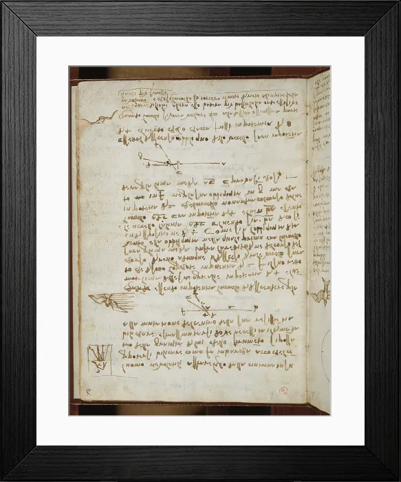 Framed Print : Codex on the Flight of Birds, by Leonardo da Vinci, 16th Century, 1505 -1506, paper manuscript, mm 213 x 153 - Italy, Piemonte, Turin, Royal Library, Varia 95 c. 5r