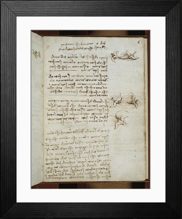 Framed Print : Codex on the Flight of Birds, by Leonardo da Vinci, 16th Century, 1505 -1506, paper manuscript, mm 213 x 153 - Italy, Piemonte, Turin, Royal Library, Varia 95 c. 6r