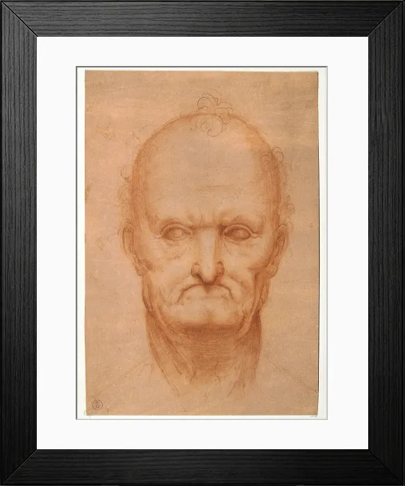 Framed Print : Head of an AgedOld man, by probably apprentice Leonardo da Vinci, 16th Century, 1500 -1525 about, sanguine, - Italy, Piemonte, Turin, Royal Library Framed Print : Head of an AgedOld man, by probably apprentice Leonardo da Vinci, 16th Century, 1500 -1525 about, sanguine, - Italy, Piemonte, Turin, Royal Library