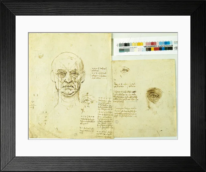 Framed Print : Study of the proportions face and eye Framed Print : Study of the proportions face and eye